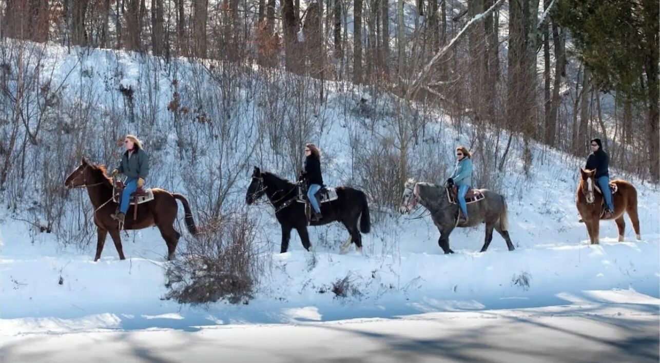 Four people riding horses on a snowy path surrounded by trees.
