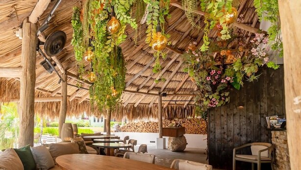 Un espace extérieur aménagé avec des tables et des chaises en bois, entouré d’une végétation luxuriante et agrémenté de plantes suspendues.