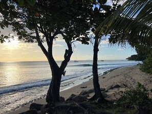 Beach - Charming Downtown Oasis 1-bedroom house with WiFi and AC in beautiful Rincón. (Rincón)
