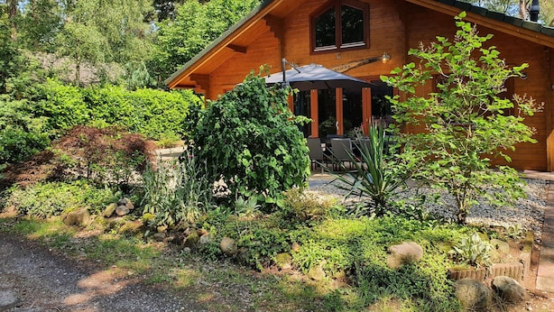 Une cabane en bois dotée d’un patio, entourée d’une végétation luxuriante et d’arbres.
