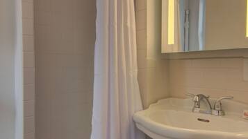 Une salle de bain avec une douche, un lavabo et un miroir.