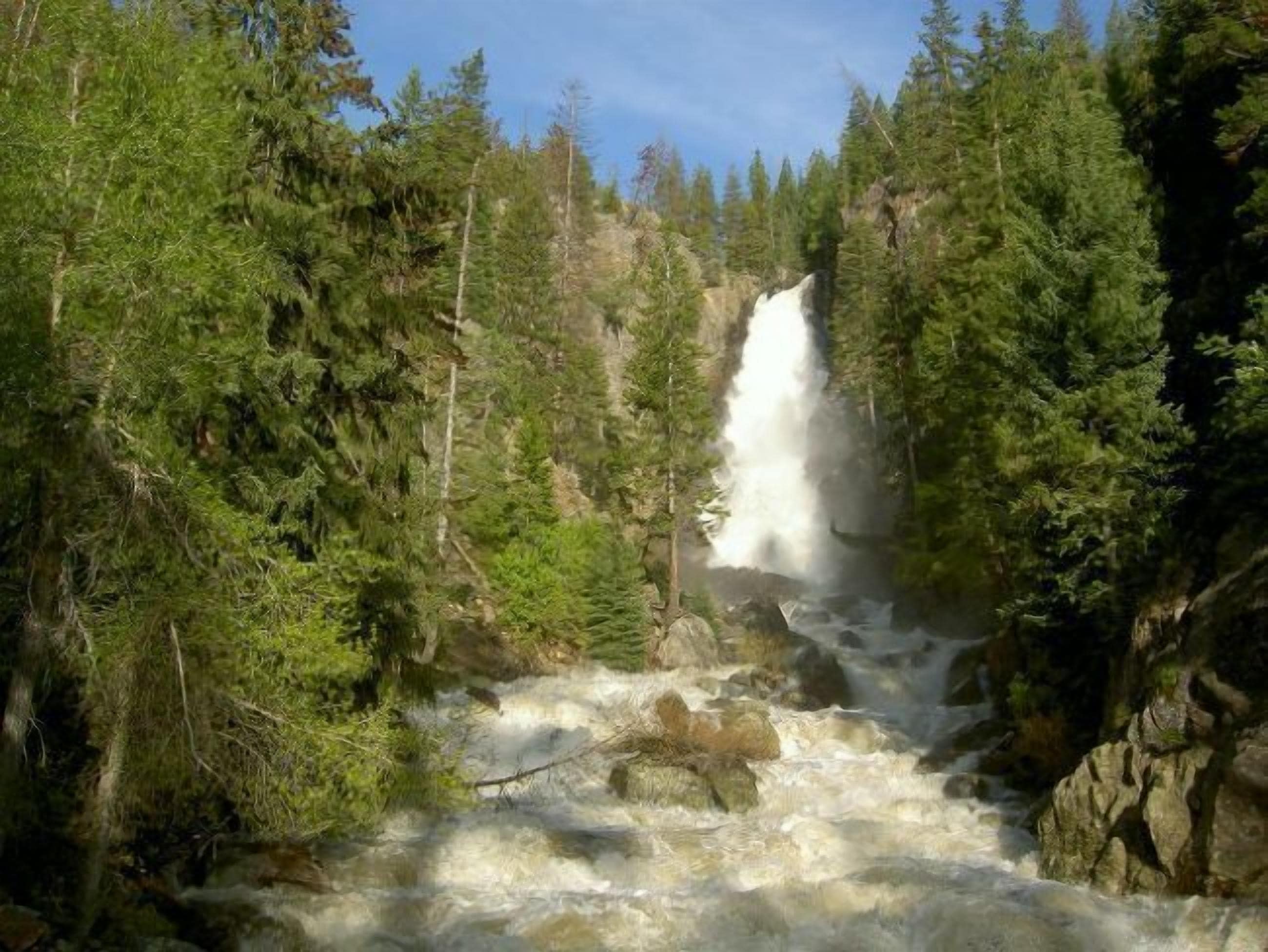 Una cascada rodeada de un bosque denso.