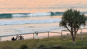 A coastal scene with a fence, a tree, and a bicycle. - 2 Brm Beachfront Retreat ~ Azure Beachfront Bliss (Palm Beach)