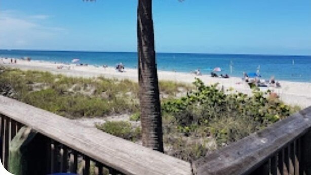 A beach with a palm tree and a wooden railing. - Spacious 4-bedroom house in charming Rotonda West with WiFi, AC, canal front. (ROTONDA WEST)