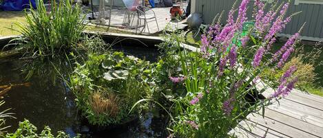 Overnatningsstedets område