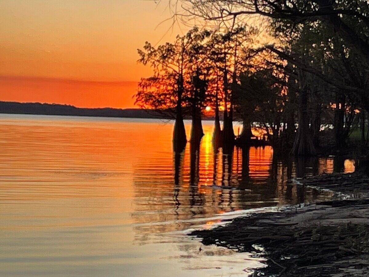 Un coucher de soleil sur un lac paisible, avec des arbres se découpant en silhouette sur le ciel.