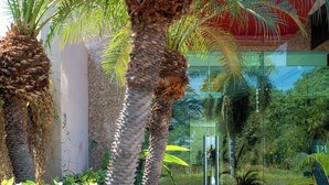 Un edificio moderno con fachada de vidrio, palmeras y un camino que lleva a una zona de piscina.
