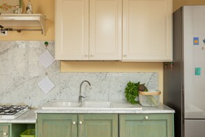 Fridge, oven, stovetop, cookware/dishes/utensils