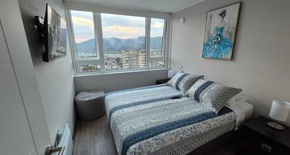 Apartment Downtown Temuco