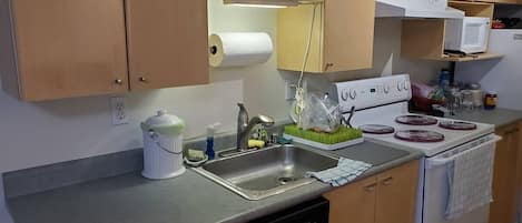Microwave, oven, stovetop, dishwasher