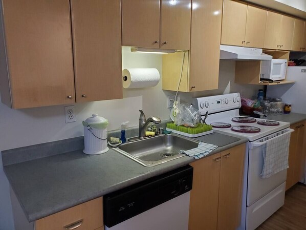 Mikrovågsugn, ugn, spishäll och diskmaskin