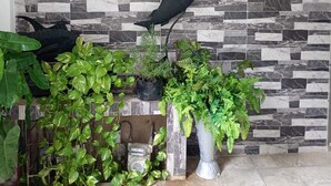 Eine Wand mit einem Mosaikfliesenmuster, einer Wasserspende und verschiedenen Topfpflanzen.