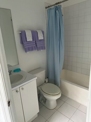 Sèche-cheveux, serviettes fournies, papier toilette