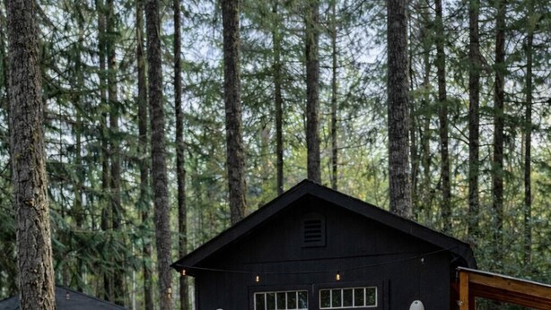 A cabin with a fire pit and Adirondack chairs in a forest setting. - Wellness Retreat at Lake Cushman. Sauna, Cold Plunge, Fire Pit (Hoodsport)