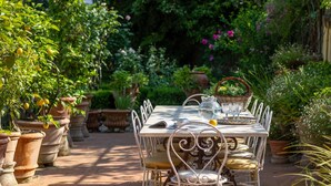 Un área de comedor al aire libre con una mesa dispuesta para dos personas, rodeada de plantas en macetas y un jardín de fondo.