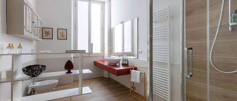 Ducha, secador de pelo, bidé y toallas