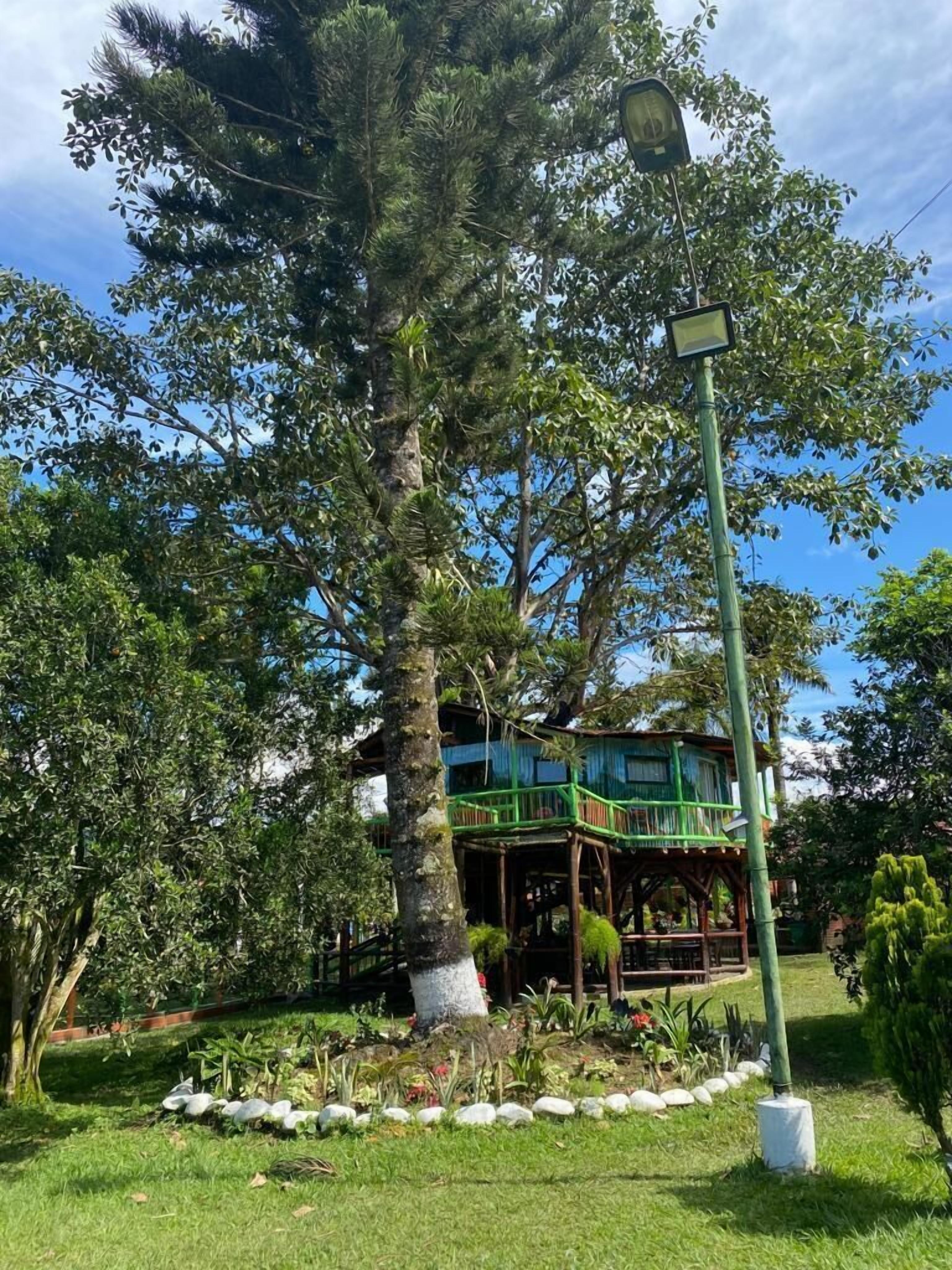 Una casa en las alturas con terraza de madera y un pequeño porche, rodeada de exuberante vegetación y un cielo azul despejado.