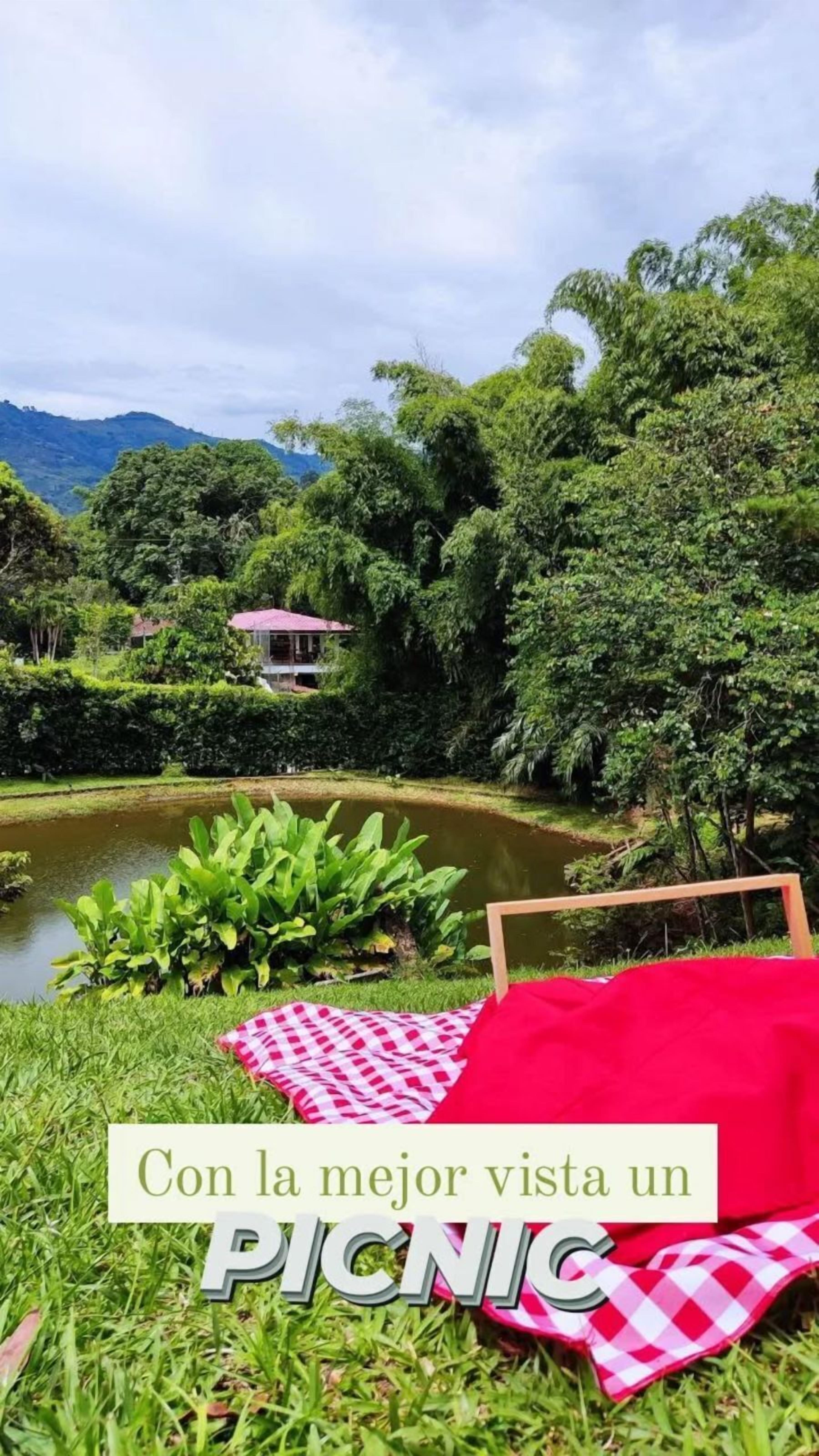 Área de parrillas y picnic