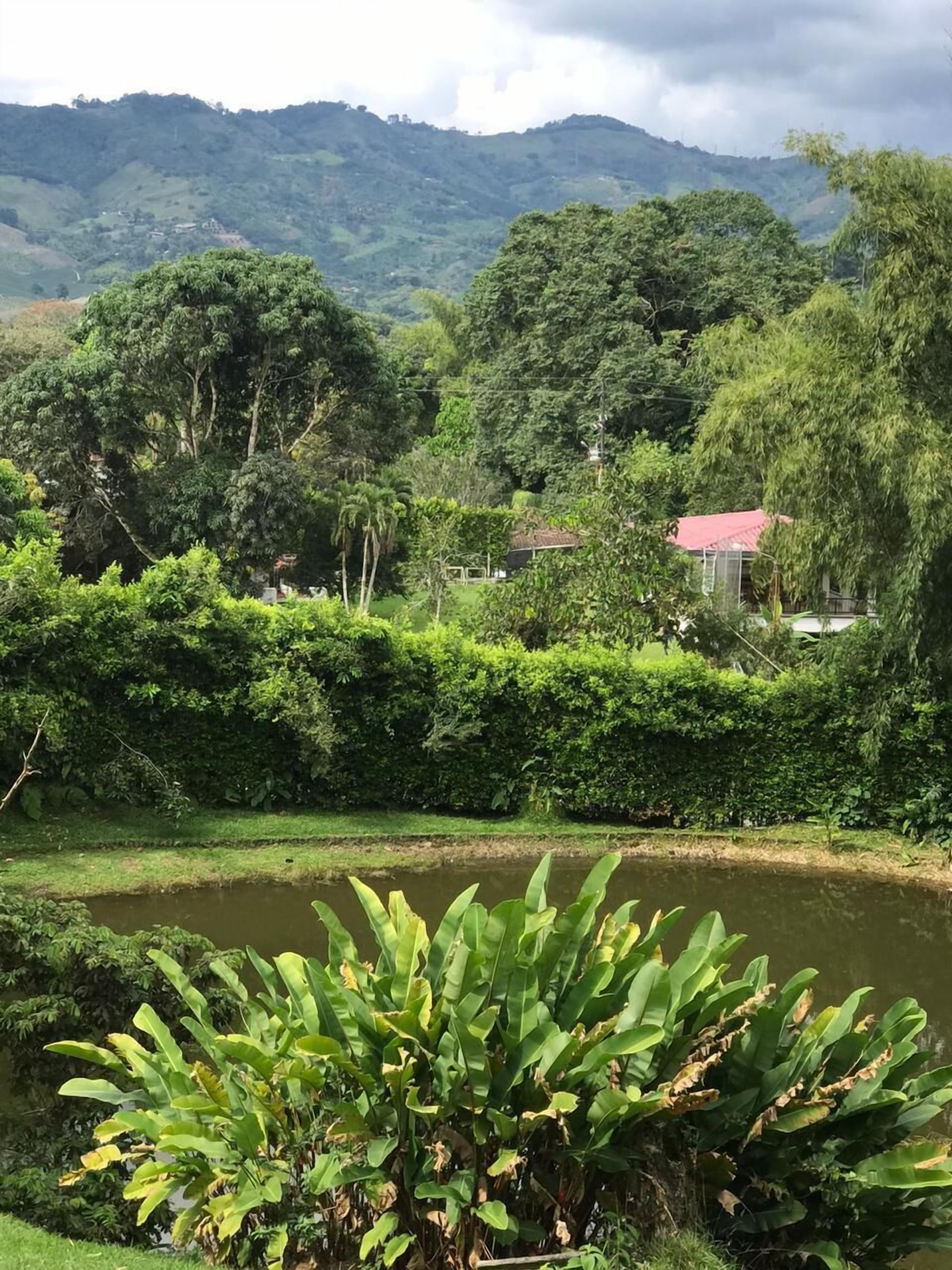 A lush green landscape with a river in the foreground, dense foliage, and a small building with a red roof in the background.