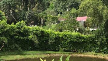 A lush green landscape with a river in the foreground, dense foliage, and a small building with a red roof in the background.