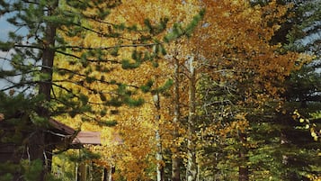 A wooden deck with a rustic cabin in a forest.