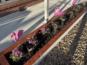 Terrein van de accommodatie