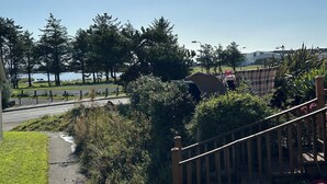 A view of a park with a pathway, trees, and a body of water in the background.