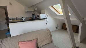 A compact living space with a kitchenette, a sofa with a pink pillow, and a patterned rug.