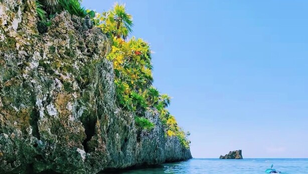 A clear tropical beach with shallow turquoise water, a rocky cliff with vegetation, and a distant rock formation. - Island Comfort 800 Ft. from West Bay Beach — 2BR Gem with Generator (Roatan)