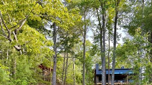A cabin with a deck and chairs by a pond, surrounded by trees.