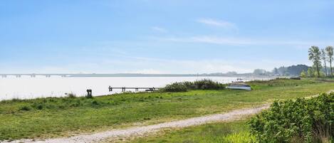 A grassy area with a path leading to a body of water, a bridge in the distance, and some vegetation.