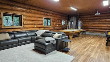 TV, fireplace, video games