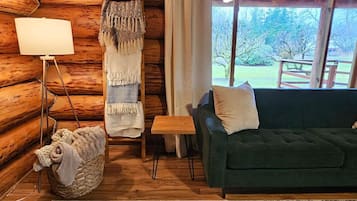 TV, fireplace, video games