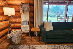 Télévision, cheminée, jeux vidéo