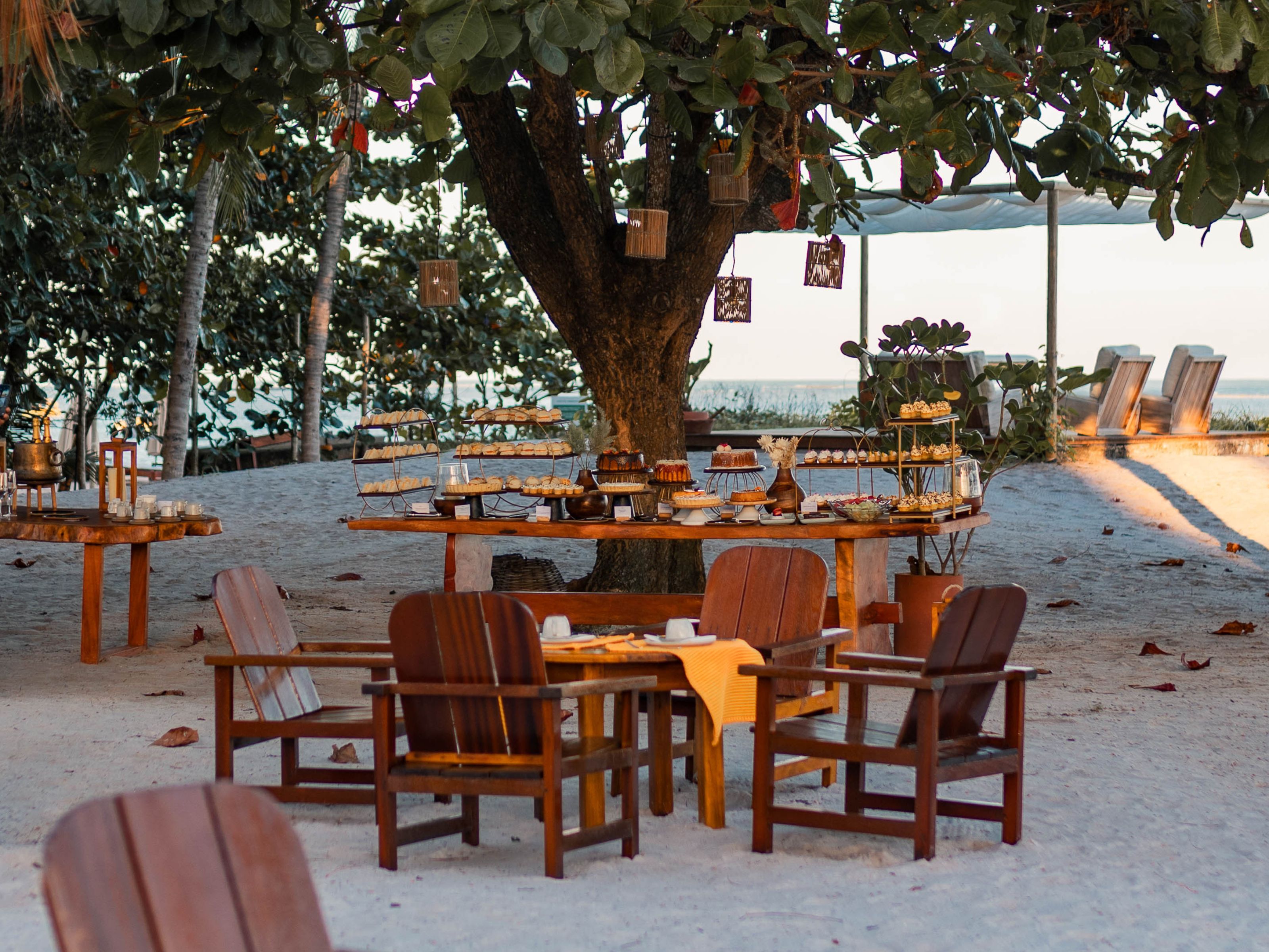 An outdoor dining setup with a table and chairs under a tree, overlooking a beach.