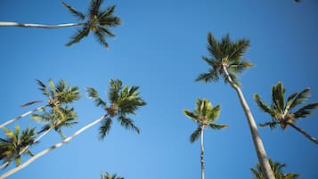 På stranden och vit sandstrand