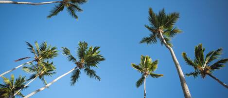 Aan het strand, wit zand