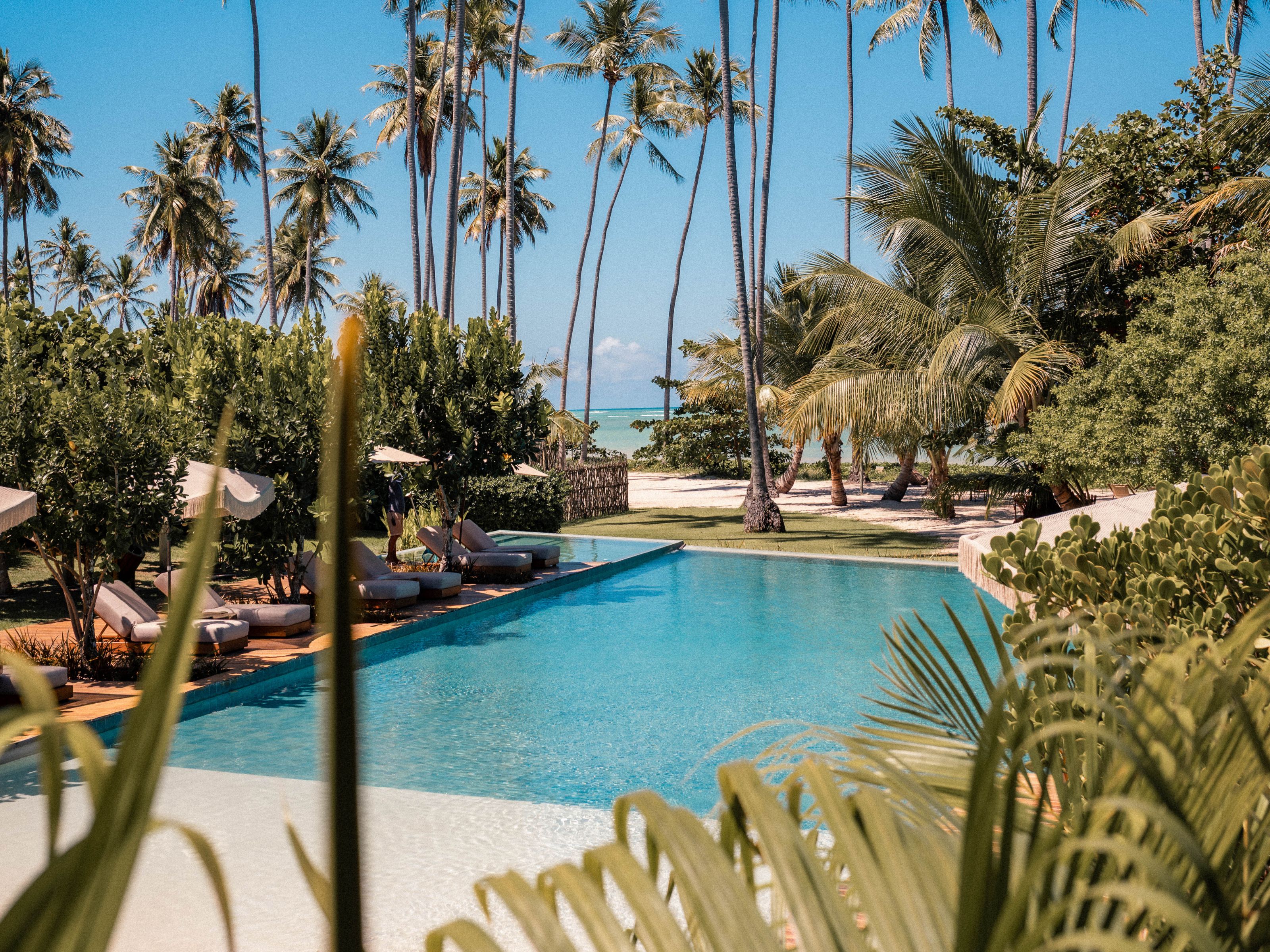A pool area with lounge chairs and palm trees, surrounded by greenery and a view of the ocean.