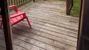 Une terrasse en bois avec une rambarde, une chaise rouge et une plante en pot.