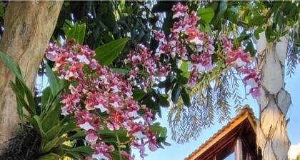 Pousada Dharma Luz e Paz