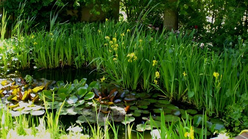 Holiday Home 'Kleins Huus' with Shared Terrace, Shared Garden and Wi-Fi