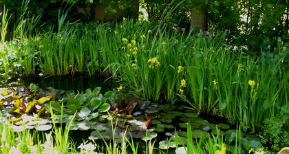 Holiday Home 'Kleins Huus' with Shared Terrace, Shared Garden and Wi-Fi