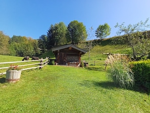 Une cabane rustique aux murs en bois, entourée d’un pré clôturé où paissent des animaux.