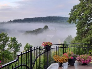 A balcony with a railing, potted plants, and a view of a forested area with a building partially obscured by fog.