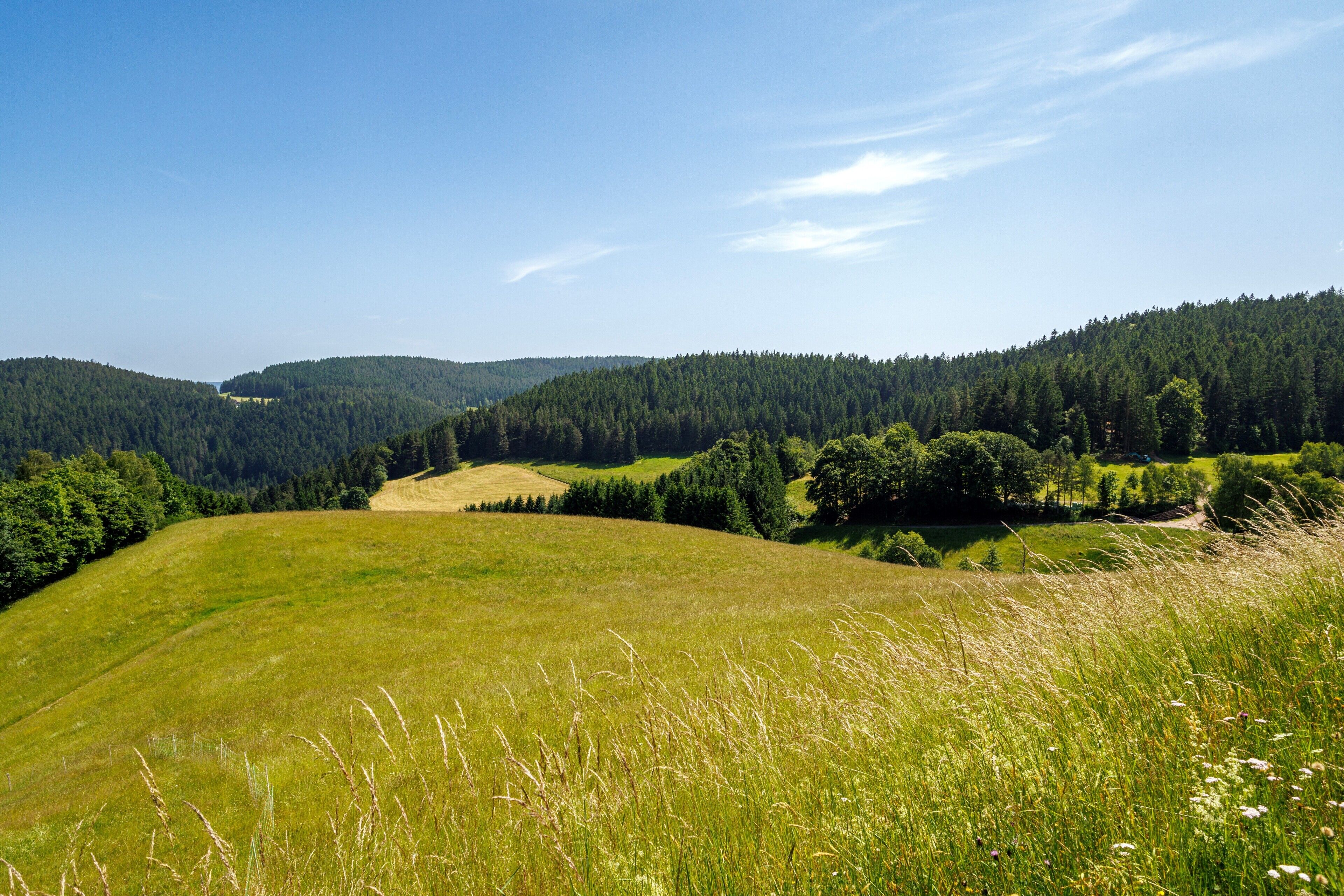 Una vista panorámica de un valle verde exuberante con colinas ondulantes y densos bosques.