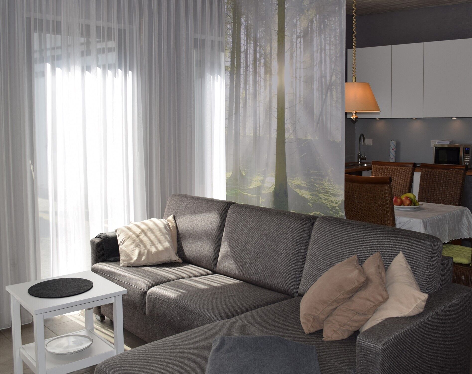 TV, lettore DVD, tavolo da ping pong, impianto stereo