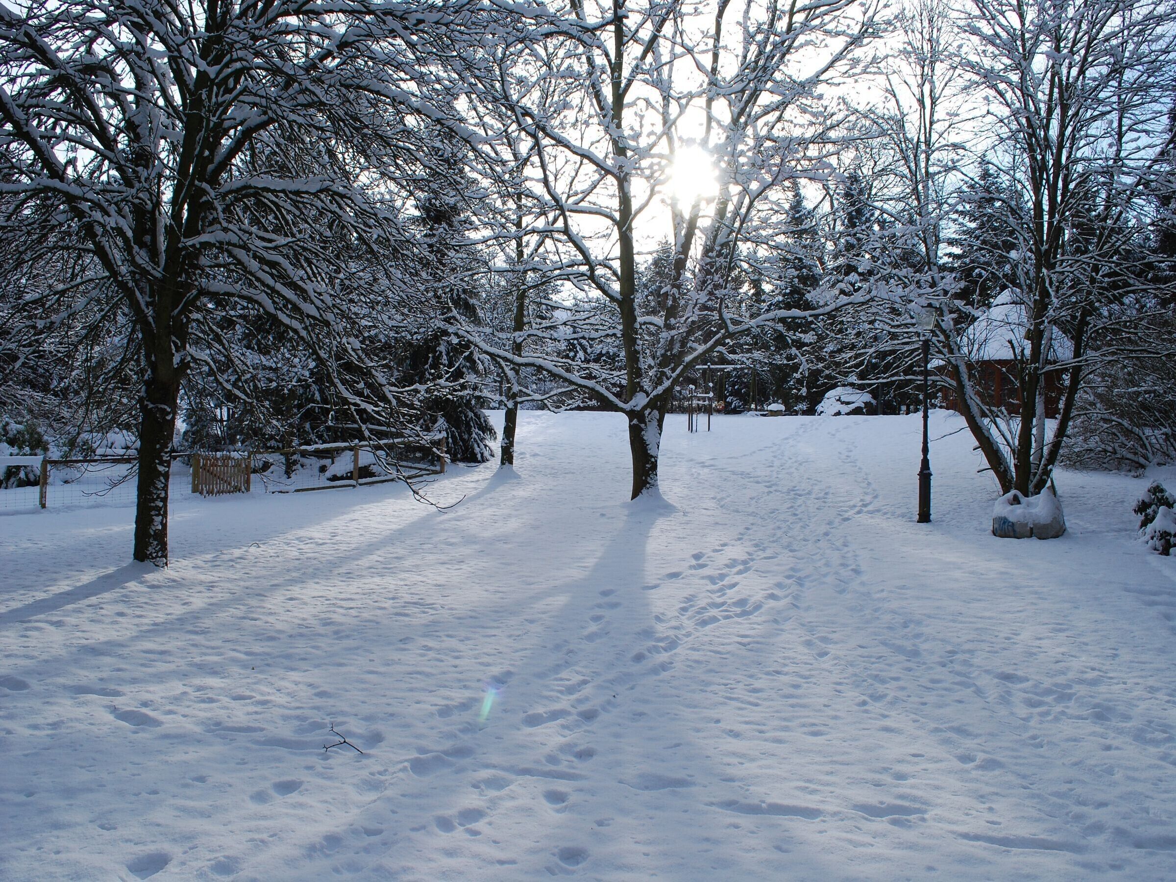 A snow-covered park with trees and a path.