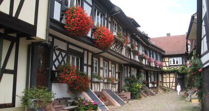 Doppelzimmer 1' mit Bergblick, privatem Balkon und Wi-Fi