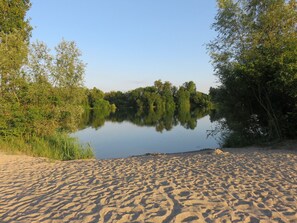 A sandy beach with a calm lake surrounded by trees.