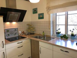 A kitchen with a stove, sink, and window with plants. - Apartment 'Fleckenberg' with Mountain View, Private Terrace and Wi-Fi (Schmallenberg OT Fleckenberg)